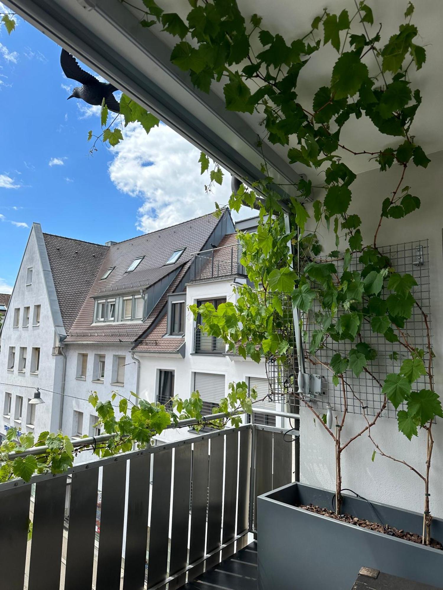 Apartment11 Ulm Kültér fotó